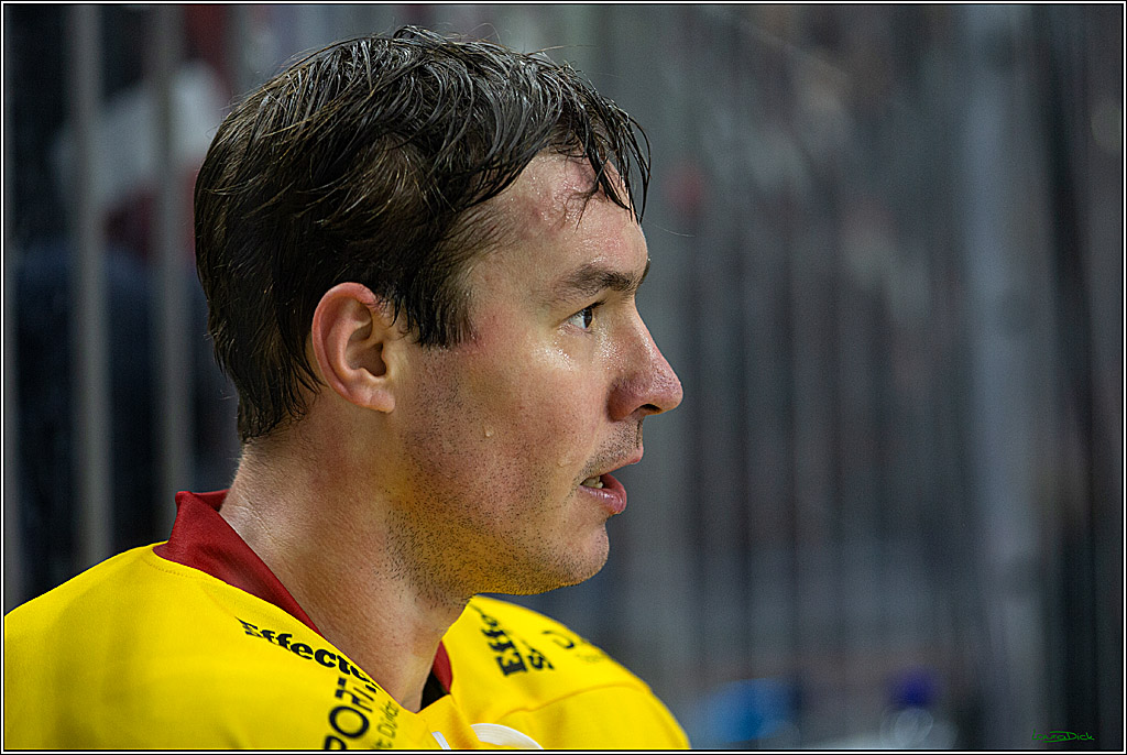 PENNY DEL; Koelner Haie- Duesseldorfer EG; Koeln, 02.01.2023